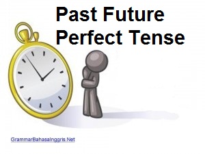 Past Future Perfect Tense
